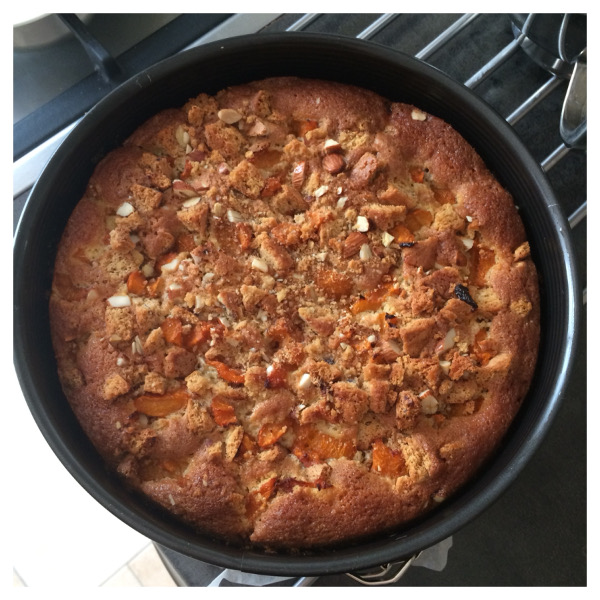 Lees meer over het artikel Abrikozen-noten-cake – Apricot-nut-cake